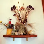 Apartament Mladen